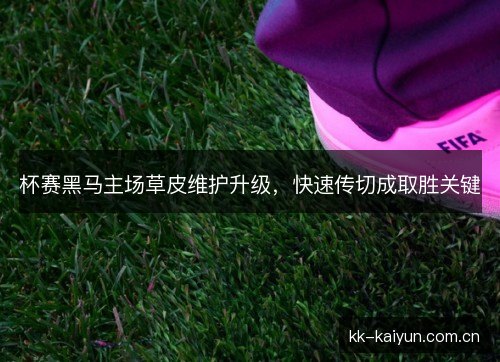 杯赛黑马主场草皮维护升级，快速传切成取胜关键